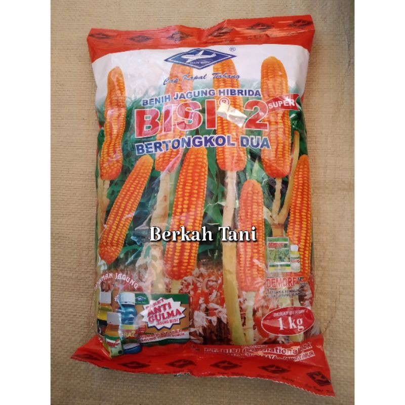 Bibit Jagung Tongkol Bisi 2 Kemasan 1kg/Benih Jagung Tongkol Bisi 2 1kg/1 kg Benih Jagung Bisi 2