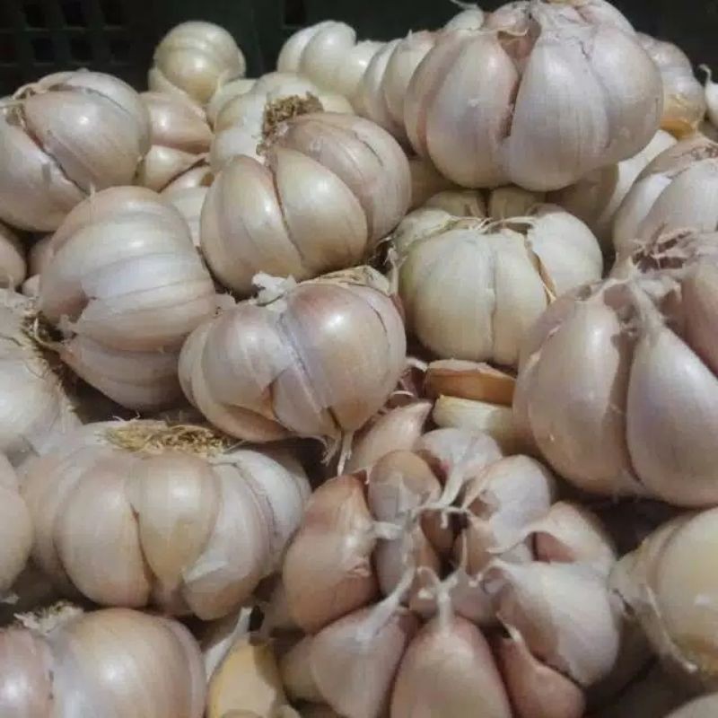 

Bawang putih segar 100 gram