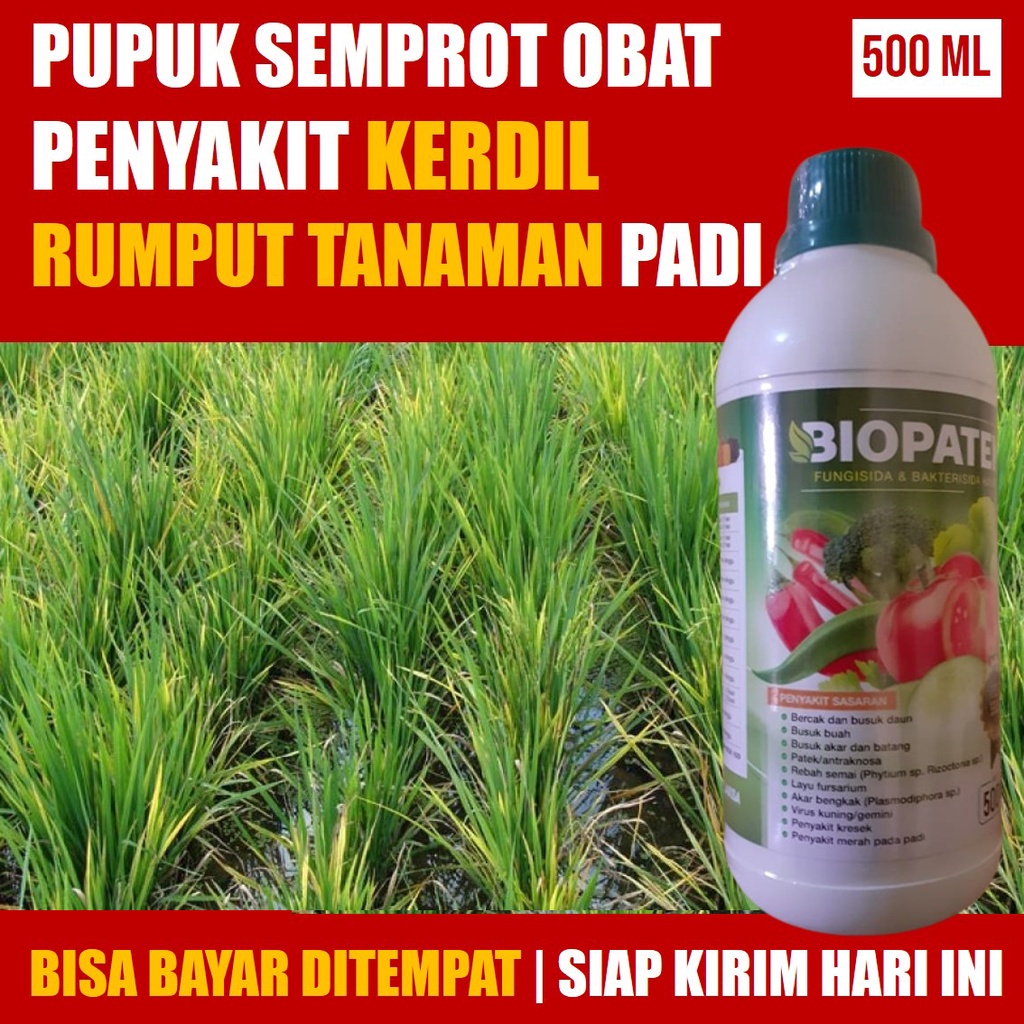 OBAT Semprot Kerdil Rumput Pada Tanaman Padi BIOPATEK 500 ML - Pupuk Fungisida Cair Atasi Penyakit K