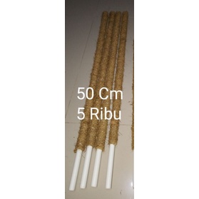 P50Cm// Bandarnya Turus Ajir Stik Batang Penyangga Penegak Rambatan Asesoris Pernik Media Tanaman Hi