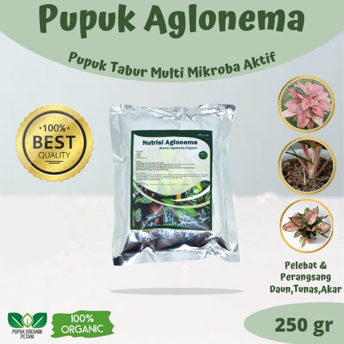 Pupuk Organik Aglonema Pelebat daun Booster Perangsang Daun akar dan Tunas Baru