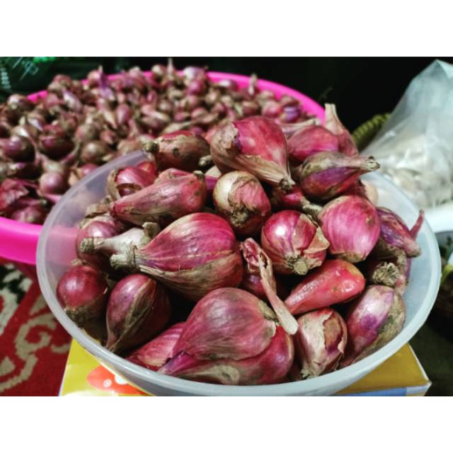 

Bawang Merah asli Brebes