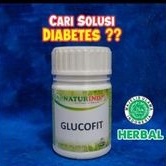 OBAT HERBAL DIABETES AMPUH BPOM GLUCOFIT NATURINDO - GLUCOFIT