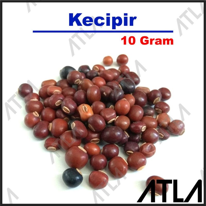 Jual Benih Kacang Gram Repack Kecipir Bibit Biji Sayur Tanaman