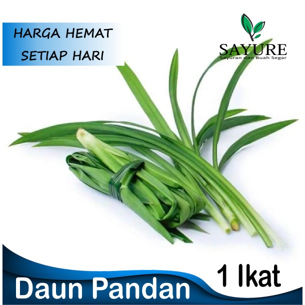 

DAUN PANDAN WANGI SEGAR 1 IKAT