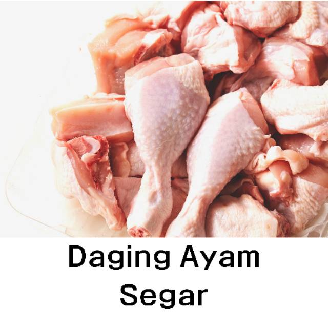 

Daging Ayam segar