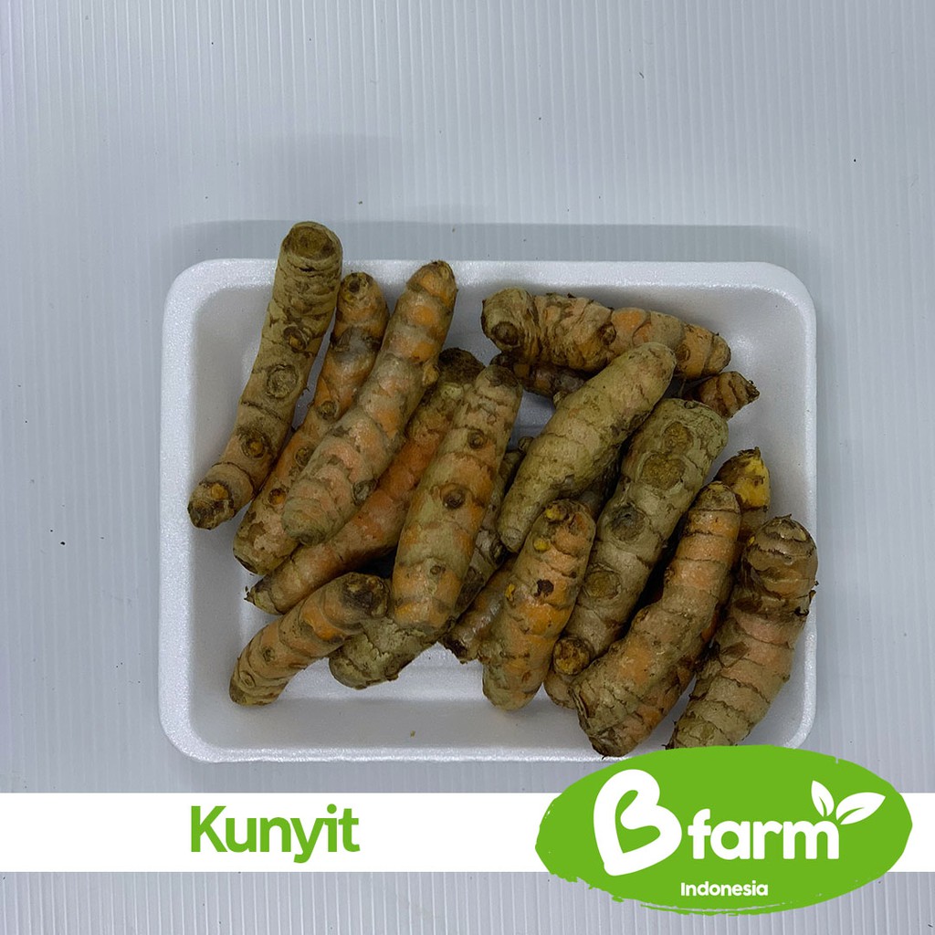 

Kunyit 250 Gr (Area Bandung & Cimahi only) - Sayur Rumahan