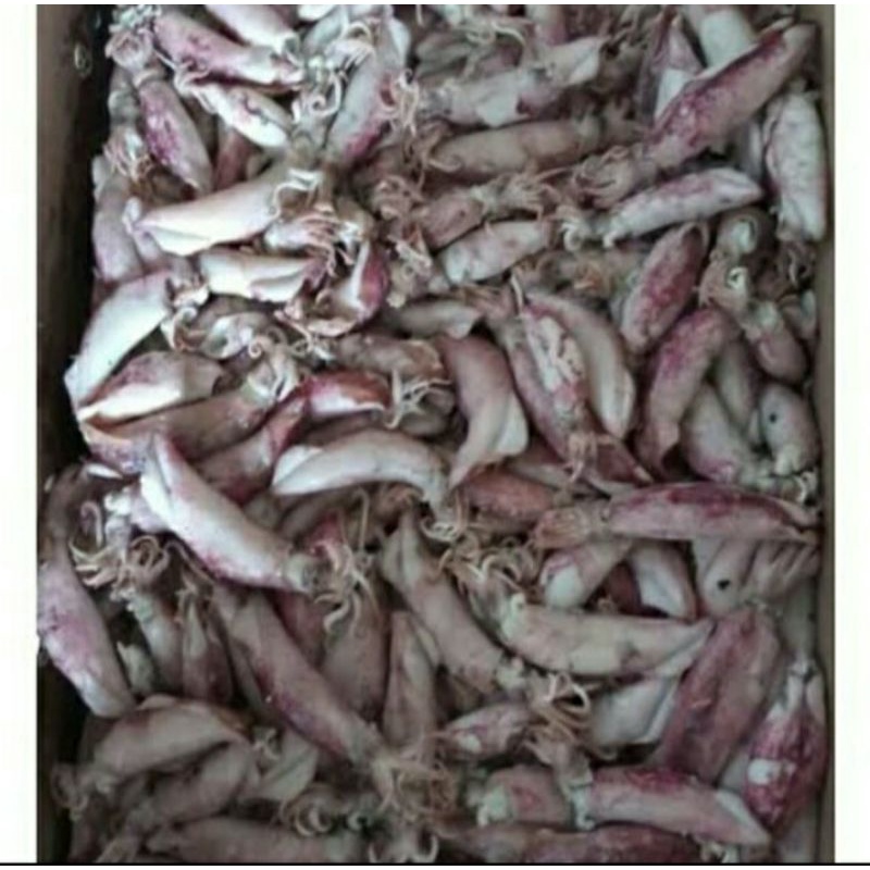 

ASIN CUMI / IKAN ASIN CUMI 100 GRAM