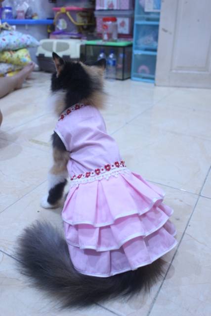 Dress princess pink new 2020 lucu untuk kucing dan anjing / baju kucing murah size S M L XL