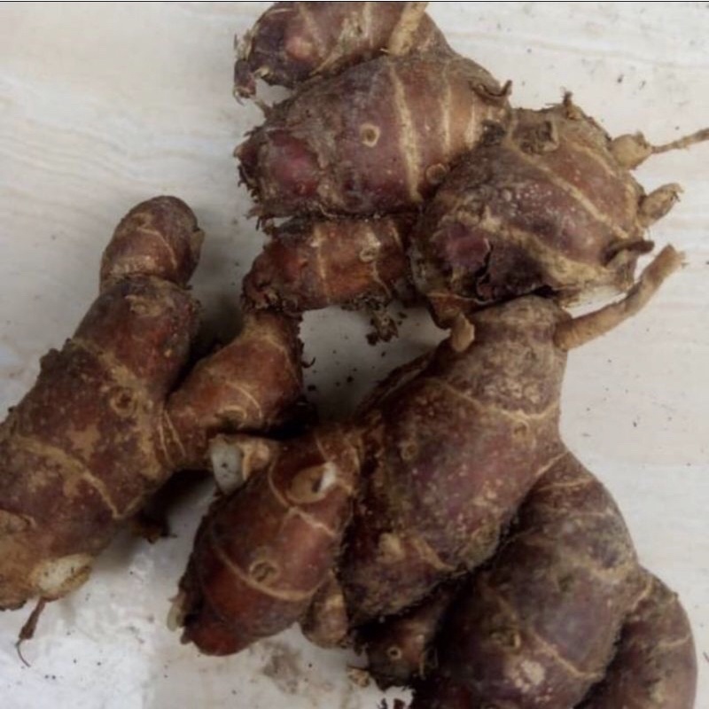 

KENCUR 100gr