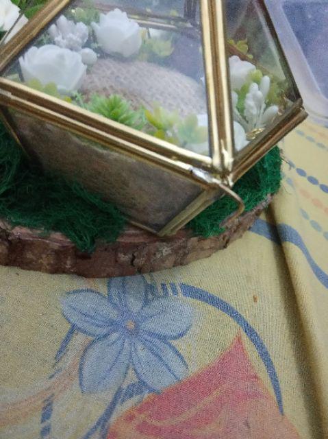 Tempat Cincin /terarrium Ringbox /ringbearer/ Tempat Maskawin/tempat Cincin Rustic /terarrium Rustic