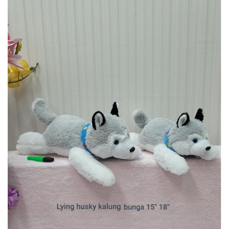 Boneka Sapi Lying Dog Husky Kalung Bunga 50CM Impor Kado Ultah