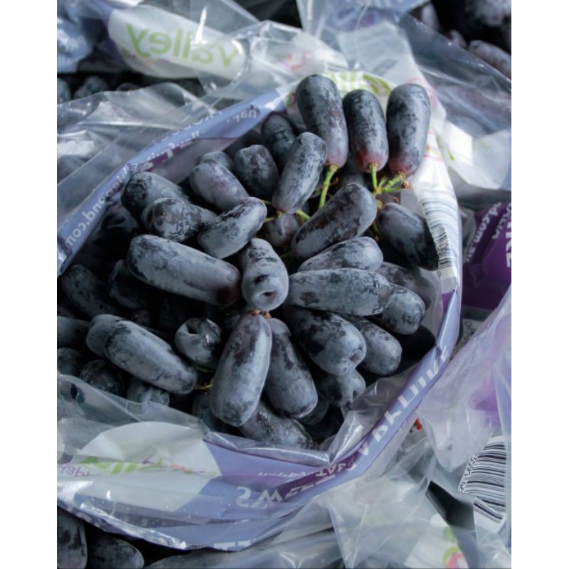 

Buah Anggur Hitam Moondrop Sweet Saphire | Anggur Jari