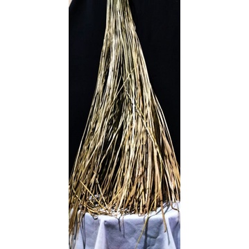 Rumput Mendong, Bahan Dasar Tali Mendong, Rumput Alam/ Serat Alam, Rumput Hias, Rumput Tali /kg