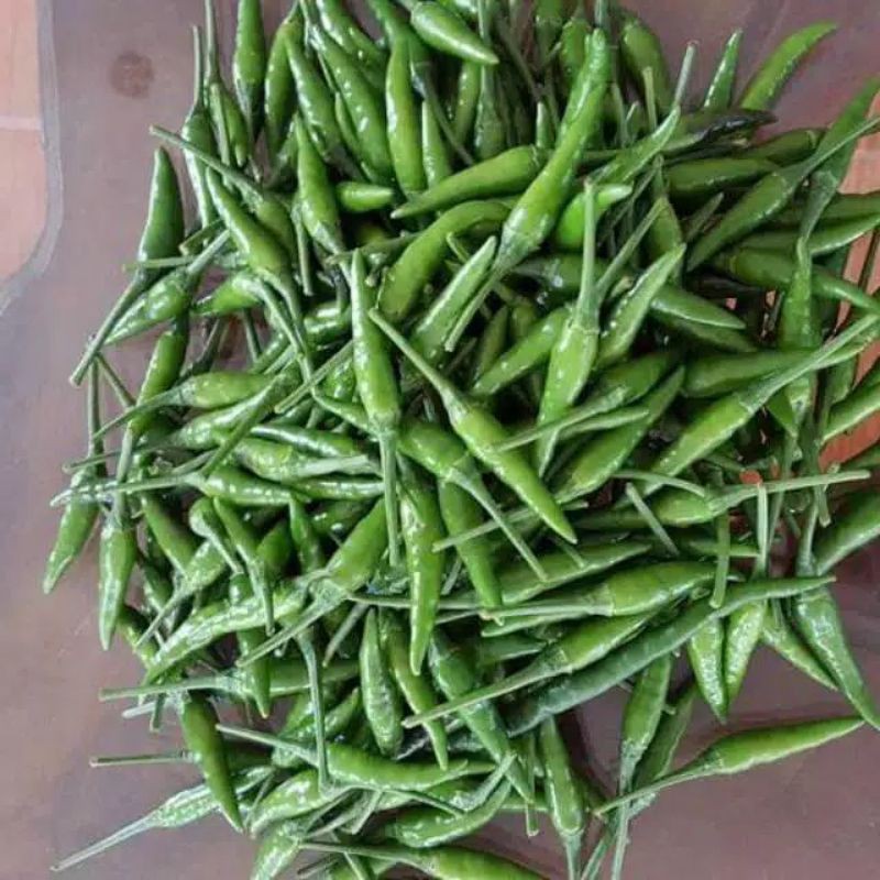 

termurah!!! biji/benih cabe rawit hijau (50 biji)