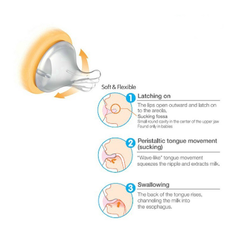 Pigeon PP 240ml Wideneck Bottle SofTouch Peristaltic Plus Nipple