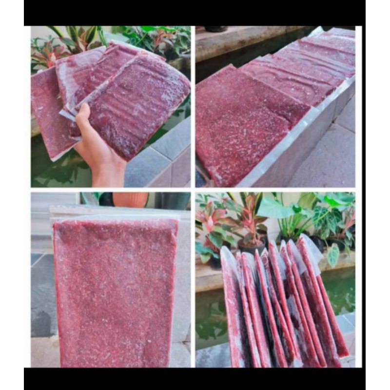 

cacing beku bloodworm 300gram