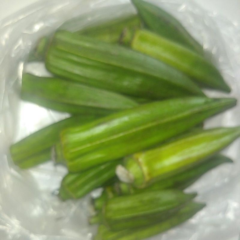 

Sayur Okra / Okro / Bendi Gumbo / Lady fingers segar