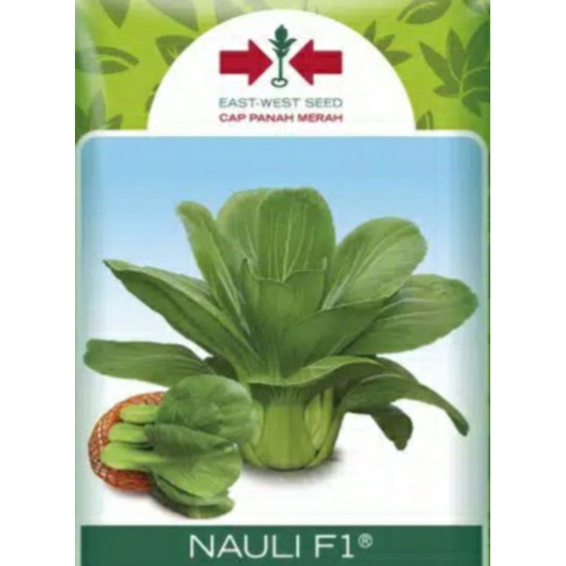 Benih Pakcoy Unggul | Benih pakcoy Ekonomis