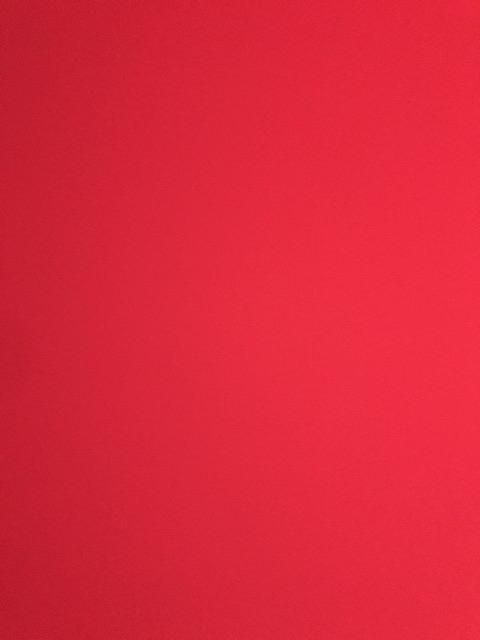 Ember 1.25 Gallons Lux Pl-10 Lion Star Ember Kamar Mandi Tempat Sikat Gigi Ember Plastik Serbaguna