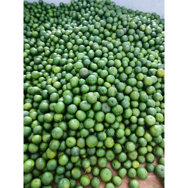 

jeruk limau limo sambal per 1kg