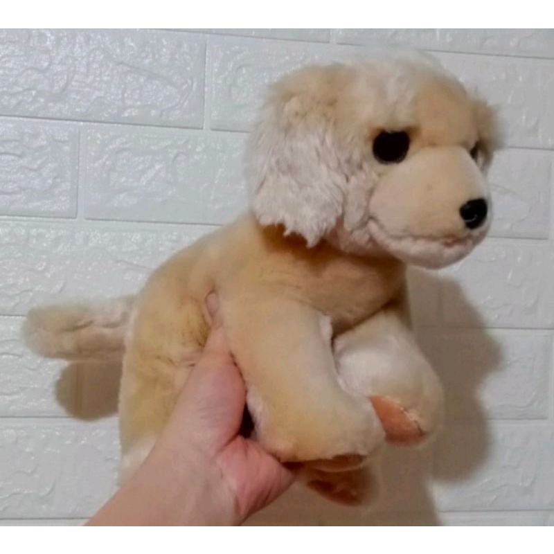Boneka Anjing Golden Lying