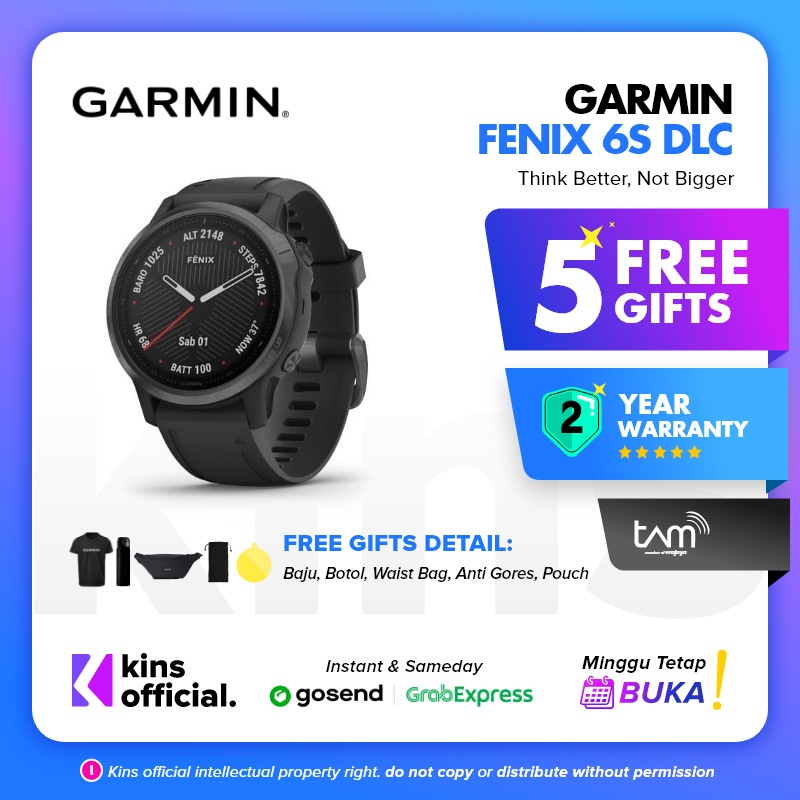 Garmin Fenix 6S Series