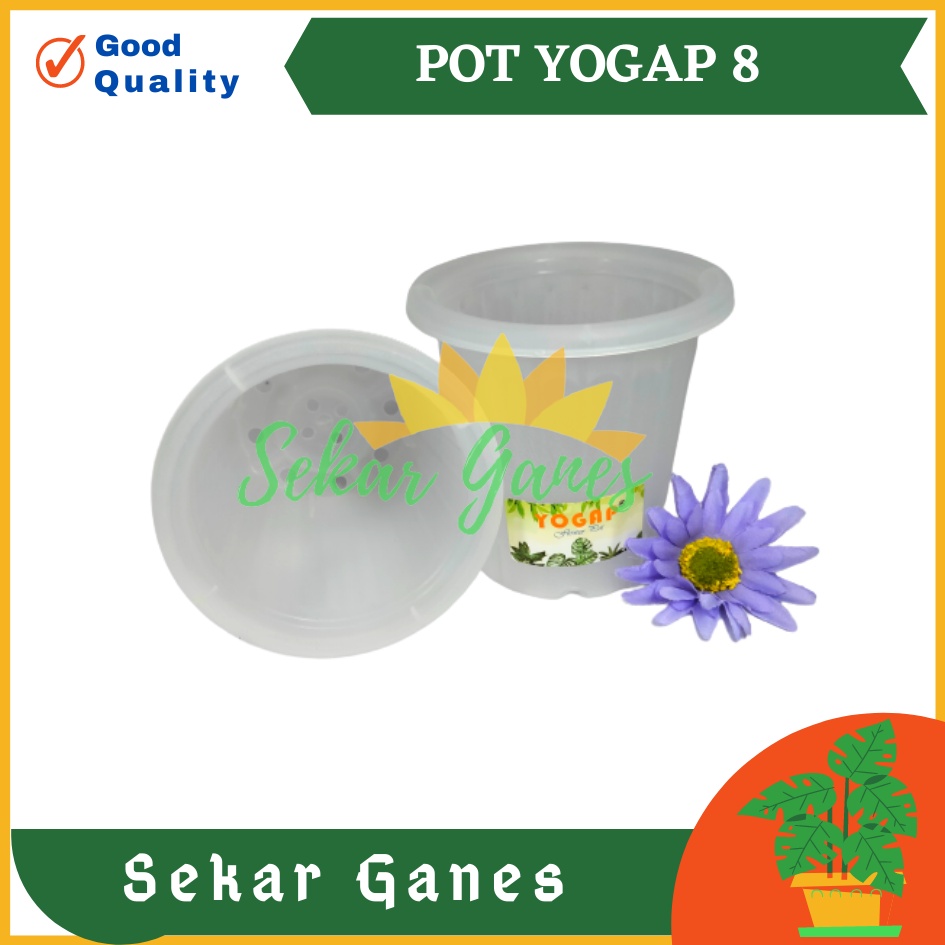 Sekarganes Pot Yogap 8 Bening Pot Yogap 10 13 15 17 18 19 25 30 Pot Yogap Murah