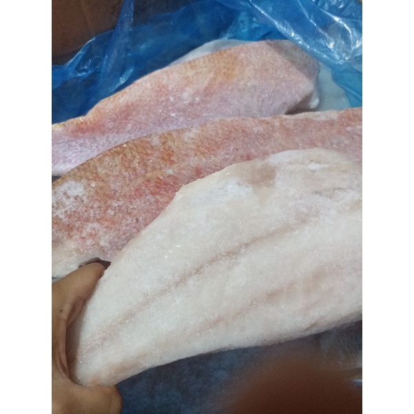 

Ikan Kakap Merah Filet kemasan 500 gram vakum