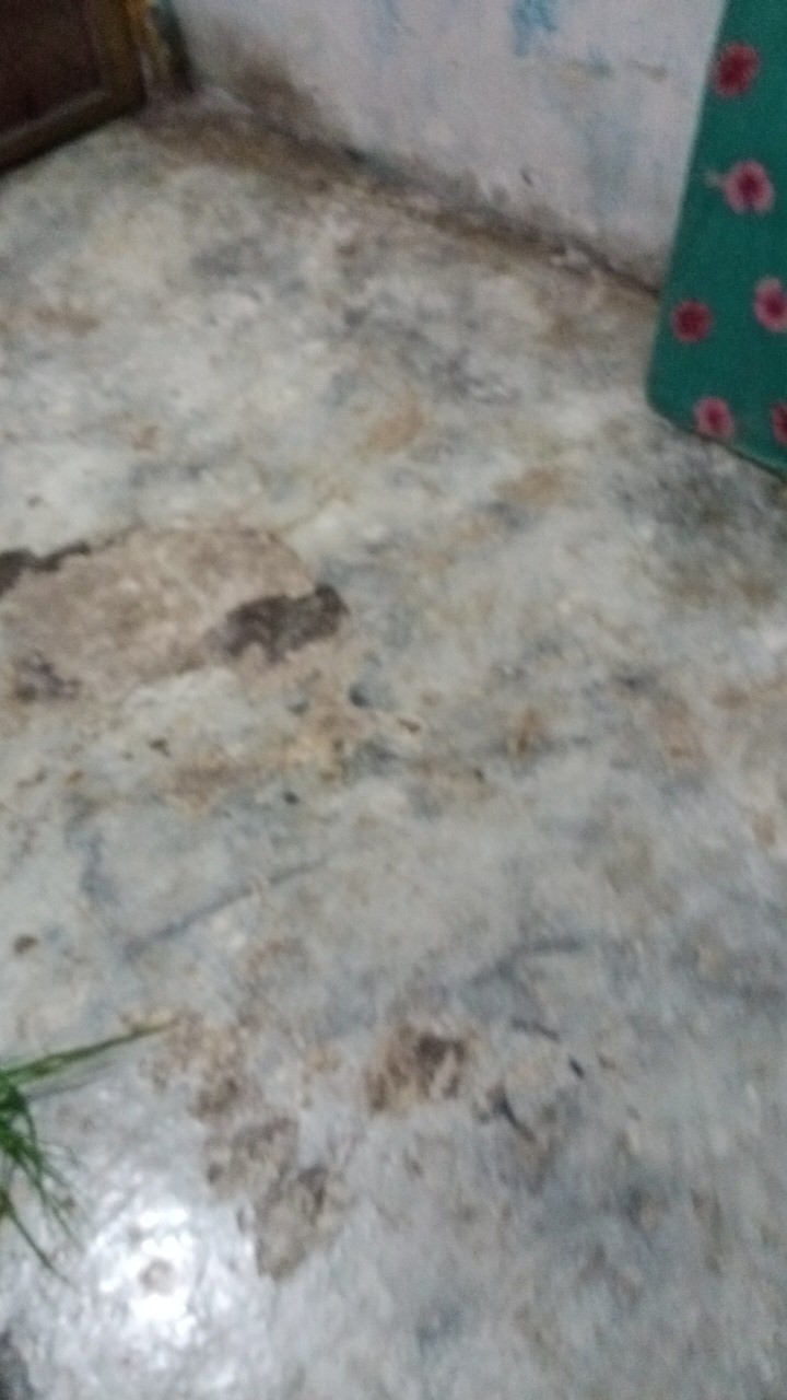 Besek Warna Uk 20x20x8