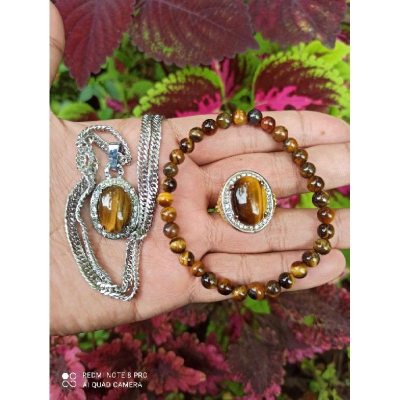 Paket Komlit Batu Akik Macan Lodaya (N)