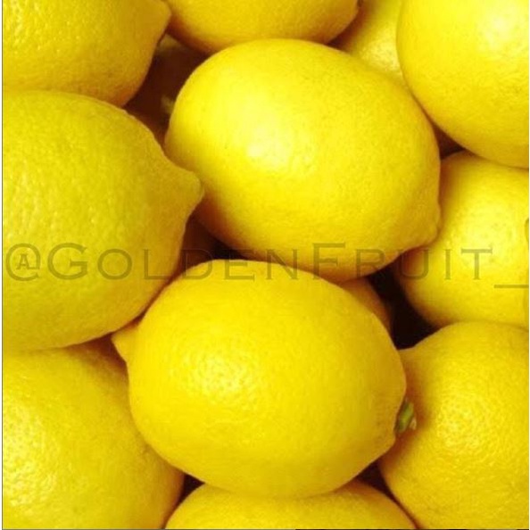 

GOLDENFRUIT_LEMON IMPORT