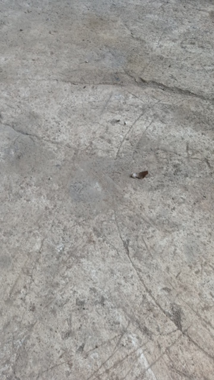 Gm Bear Pisau Dapur Hitam Set 6pcs 1110 - Kitchen Knife Black