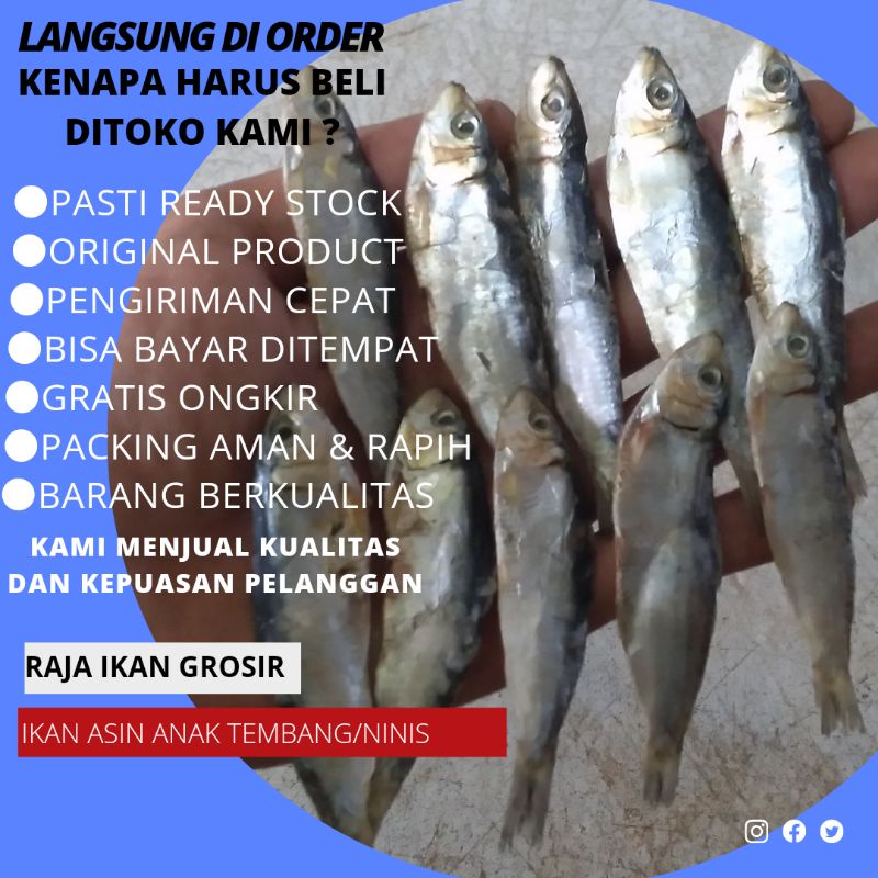 

IKAN ASIN ANAK TEMBANG 1 KILO BAGUS TERJAMIN