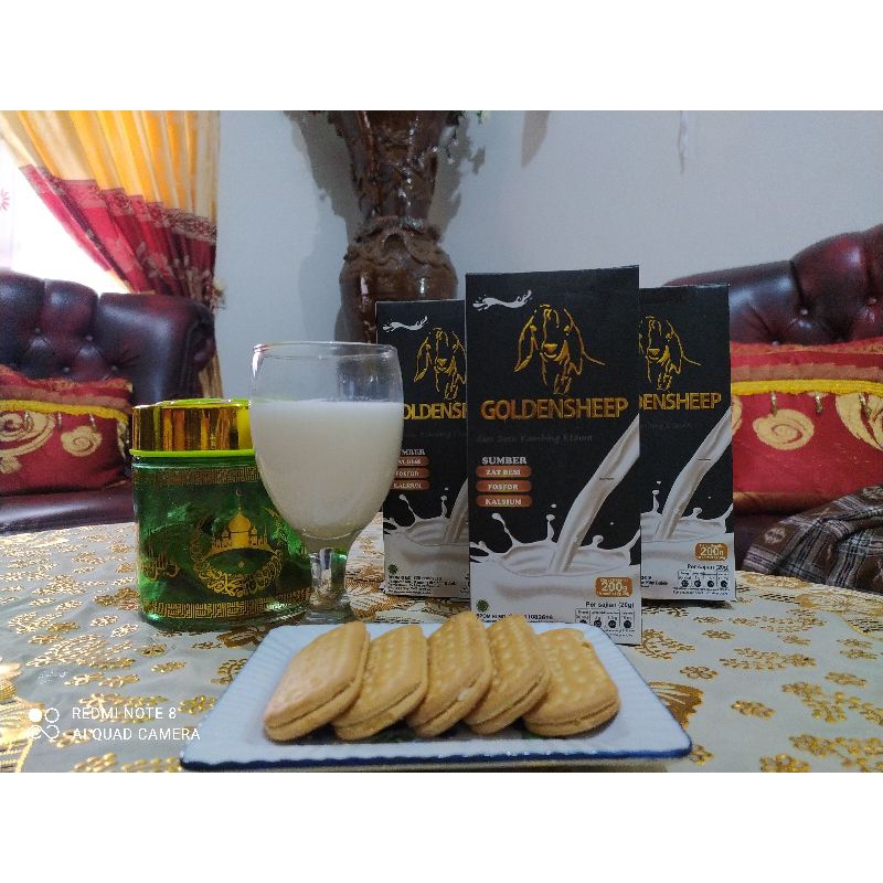 

susu kambing etawa Golden sheep