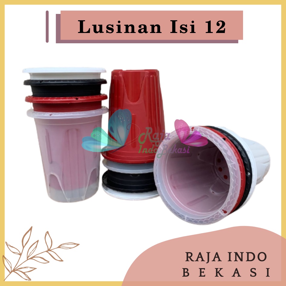 Rajaindobekasi LUSINAN Isi 12 Pcs Pot GE 20 Golden Erna 20 Putih Hitam Transparan Bening Merah Bata pcs Pot Yogap 10 13 15 17 18 19 25 Pot Yogap Bening LUSINAN POT YOGAP MURAH