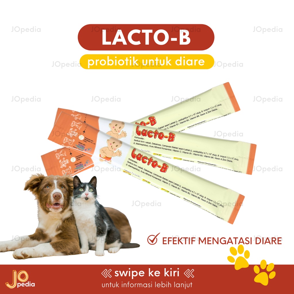 LACTO B Probiotik Obat Diare Mencret Muntah Kucing Anjing Kelinci Hewan Vitamin Pencernaan