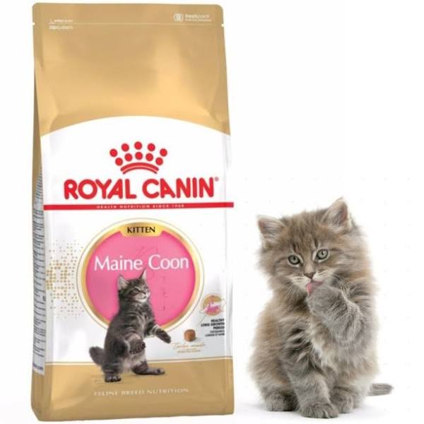 Makanan Kucing Royal Canin Kitten Mainecoon 2 KG