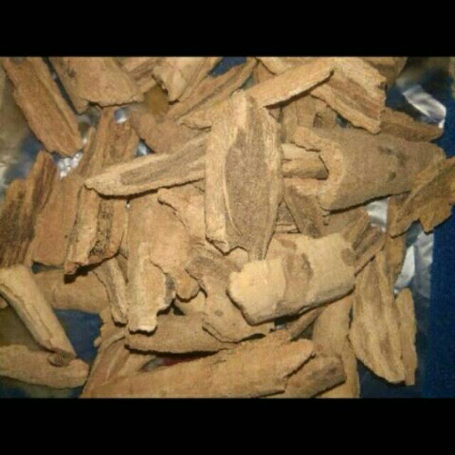 

Batang pulosari berat bersih bersih 1kg