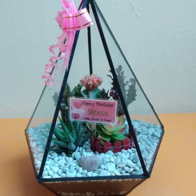 Jual Terrarium Kaktus Sukulen Terrarium Terarium Tanaman Hias Dekorasi Hobby Kaktus