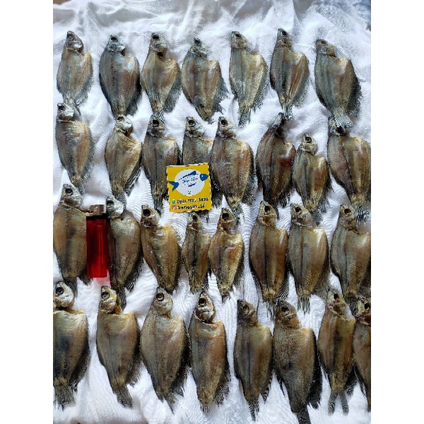 

Ikan asin Sapat Siam khas kalimantan