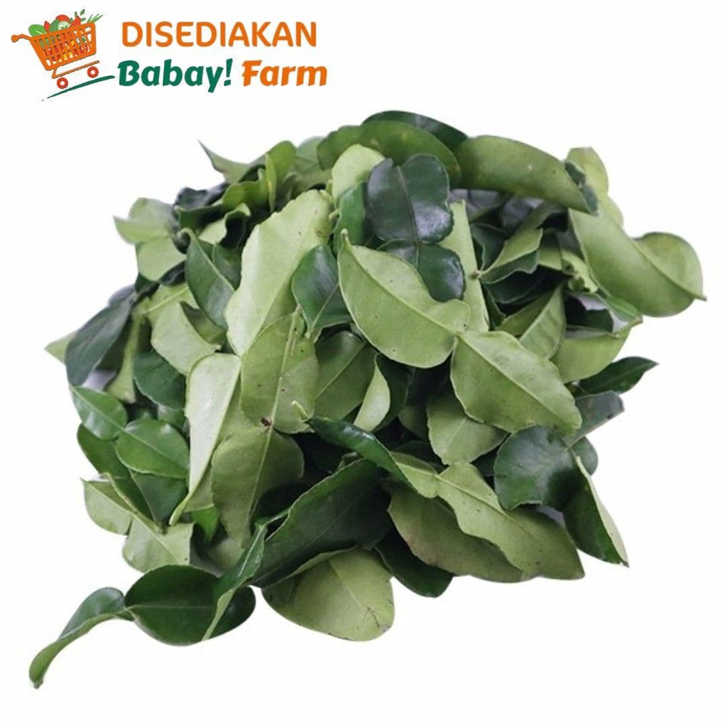 

Daun Jeruk 100 Gr