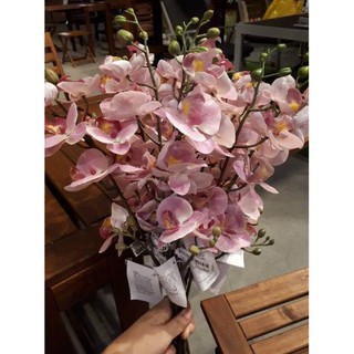  KODE 893 BUNGA  HIAS  ORCHID ANGGREK PINK 60CM IKEA  SMYCKA 