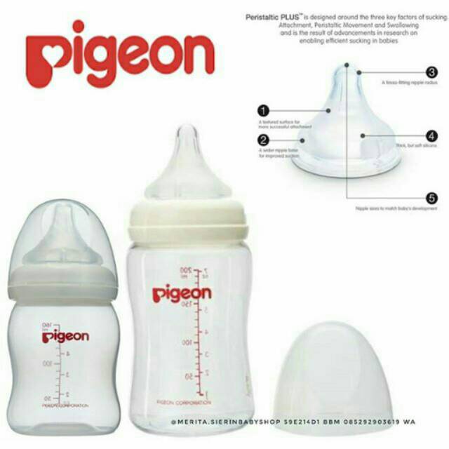 Botol Wideneck Pigeon dot peristaltik