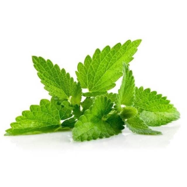 Daun Mint Organik 100gr