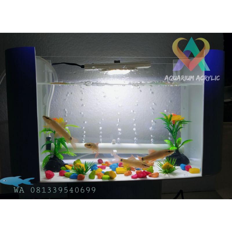 Aquarium Akrilik Fullset Unik Cupang Guppy Koki