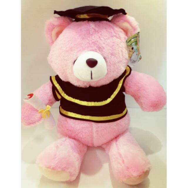 Boneka Forever Friends Wisuda L Pink