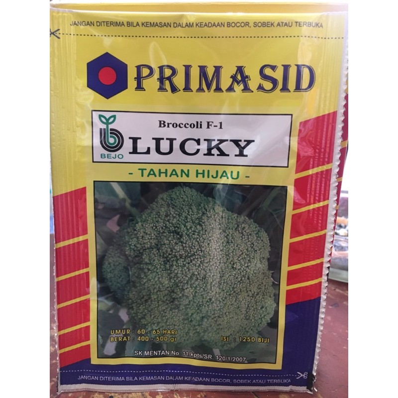 Benih brokoli Lucky / Bejo PRIMASID broccoli