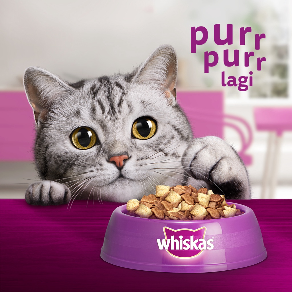 Whiskas Makanan Kucing Kering Junior 1.1 kg Image 4
