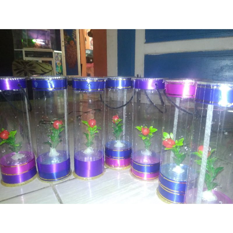 aquarium mini ikan hias bahan plastik mika